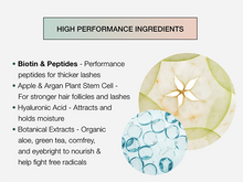 Load image into Gallery viewer, Contours Rx Botanical Lash & Brow Enhancing Serum