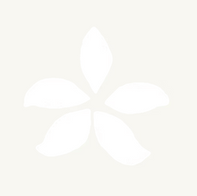 Load image into Gallery viewer, Q-Voe Orchid Stencil- 12 pack
