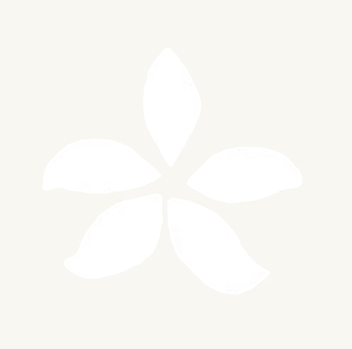 Q-Voe Orchid Stencil- 12 pack
